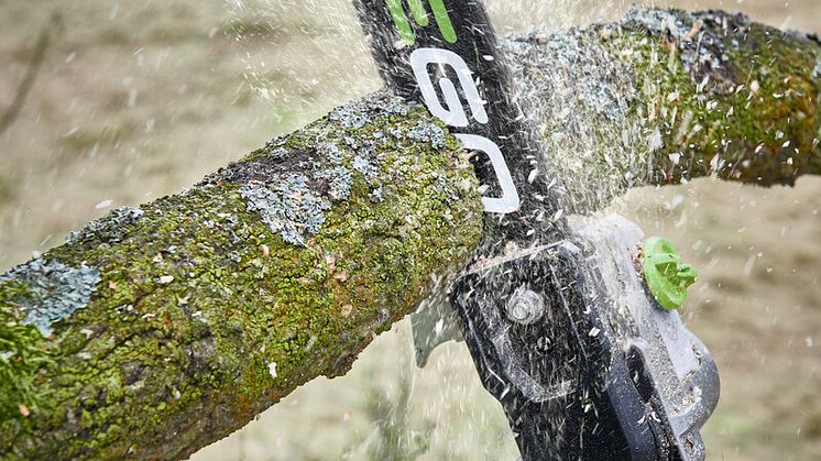 Telescopic_Pole_PoleSaw_Detail_1 9.jpg