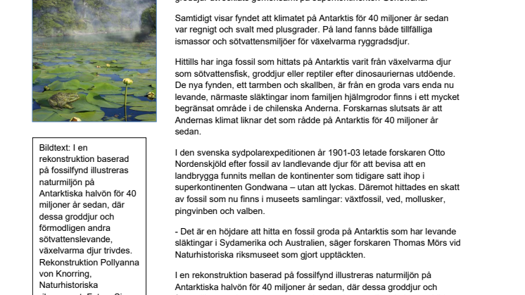 Första fossila grodan på Antarktis