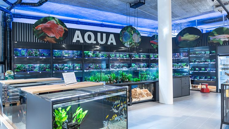Aquaristik_BIld_2.jpg