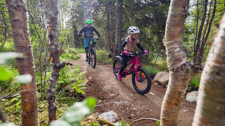 Cykla i Åre