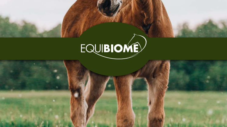 Broschyr EM för hästar - Equibiome