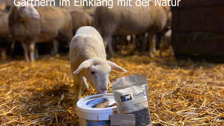 Schafwollpellets als Bio-Dünger stabil im Preis