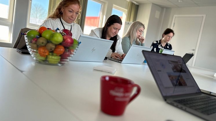 Gina Johannisson_Maria Ojesjo_Alexandra Knowles från Kungsbacka och Anna Lokrantz från AI Sweden.png