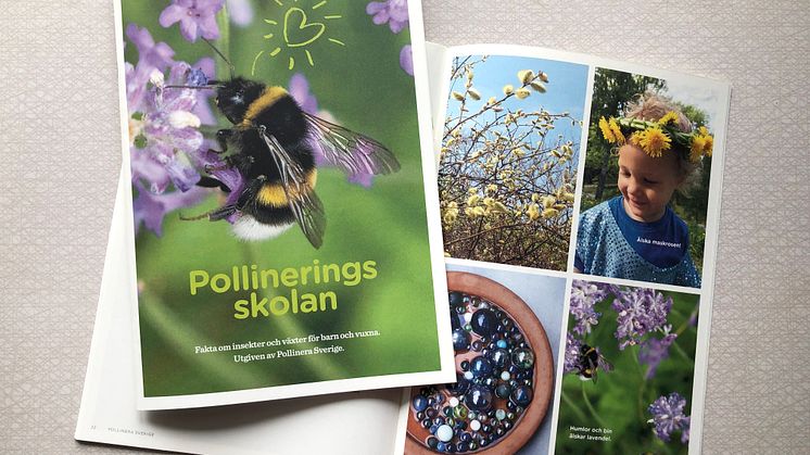 Pollineringsskolan