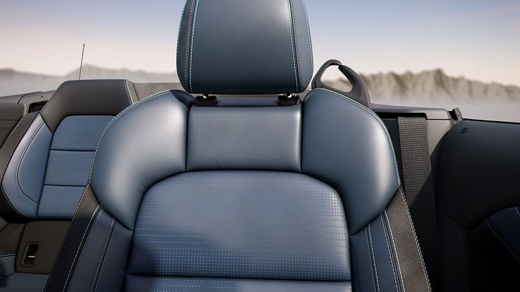 2024Ford_Mustang_CaliforniaSpecial_3.jpg