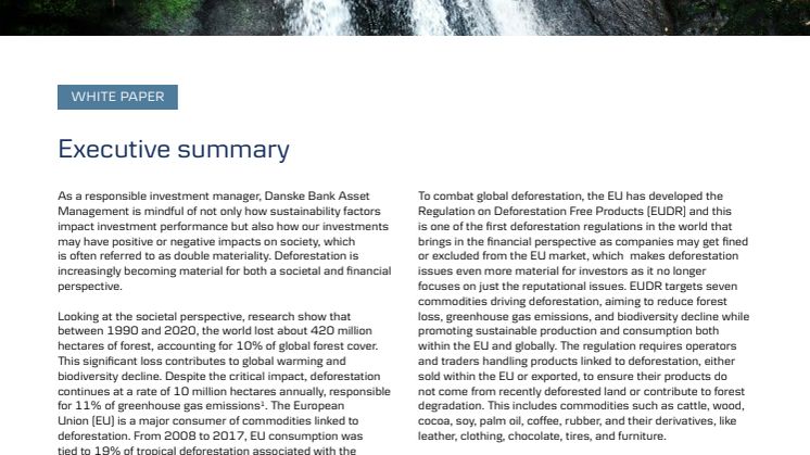Welcome to the Jungle - White paper.pdf
