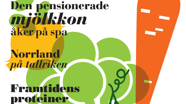Magasin Svenskt 2018