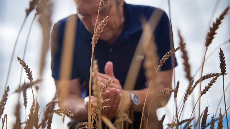 Nils Christerson, Bager's