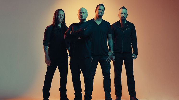 Disturbed (c) Travis Shinn