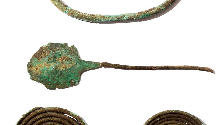 Eindeutige Fundstücke aus Bronze: Die beiden geborgenen Spiralen (unten), eine Fibel (Mitte) und ein Halsring gehören zu einer Frauentracht. 