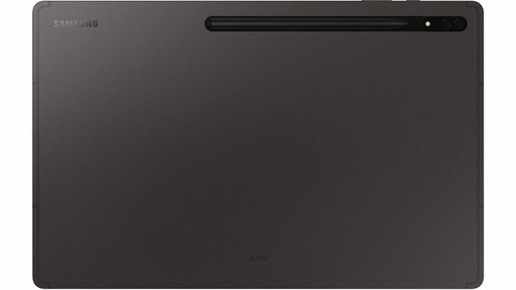 3-01 Galaxy Tab S8 Ultra_Graphite_Back With S Pen_HI.jpg