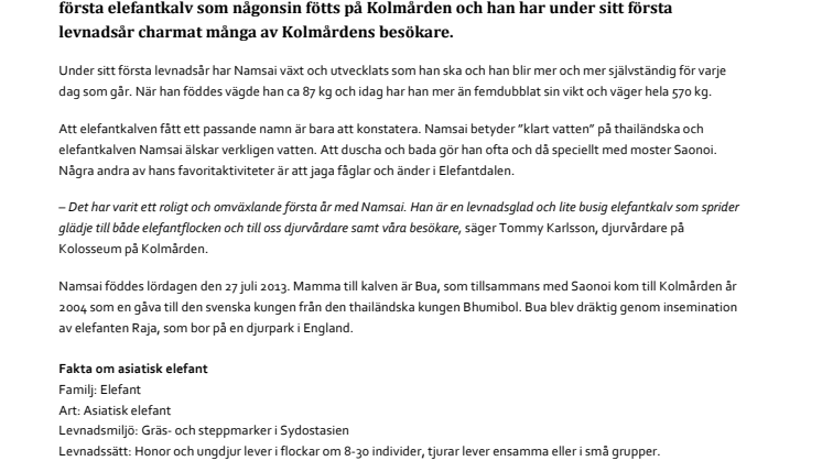 Kolmårdens elefantkalv Namsai fyller 1 år