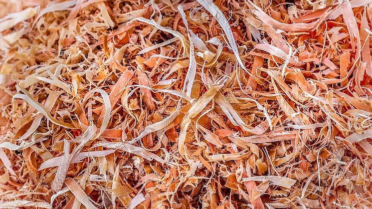 Bioenergi är till stor del anledningen att Sverige är bäst i klassen. Foto: Pixabay