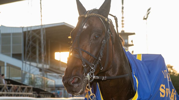 Önas Prince huvud