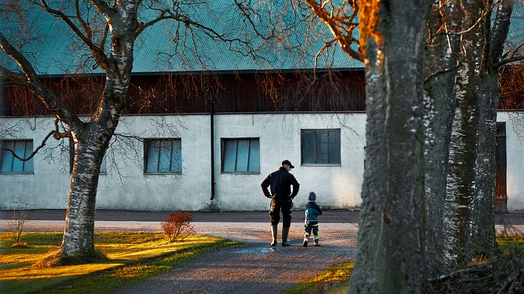 Arla øremærker op til 500 millioner EUR årligt til belønning af klimatiltag på gårde