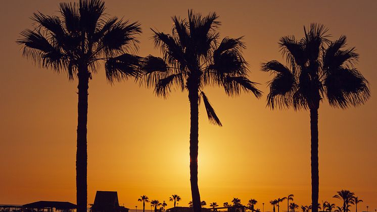 Solnedgång Gran Canaria
