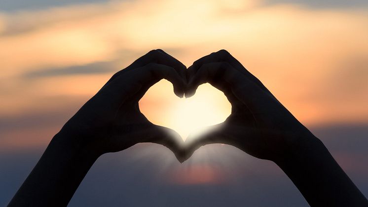 heart-3147976_1920.jpg