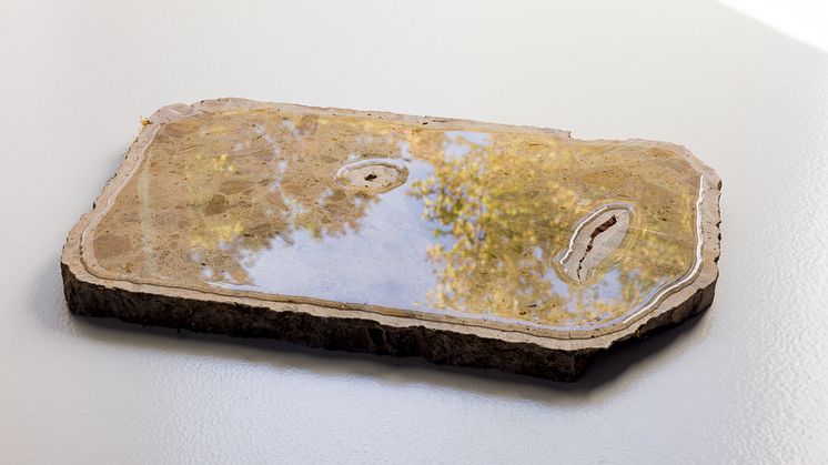 Nina Canell, Days of Inertia, 2023 