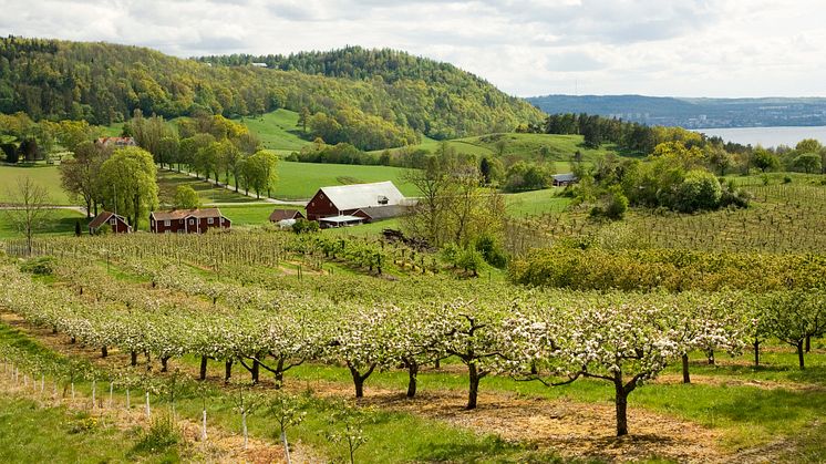 Östra Vätterbranterna planeras bli biosfärområde - expertgrupp samlas för seminarium