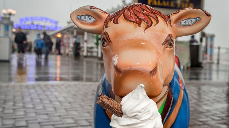 Cow-respondent travels on Thameslink