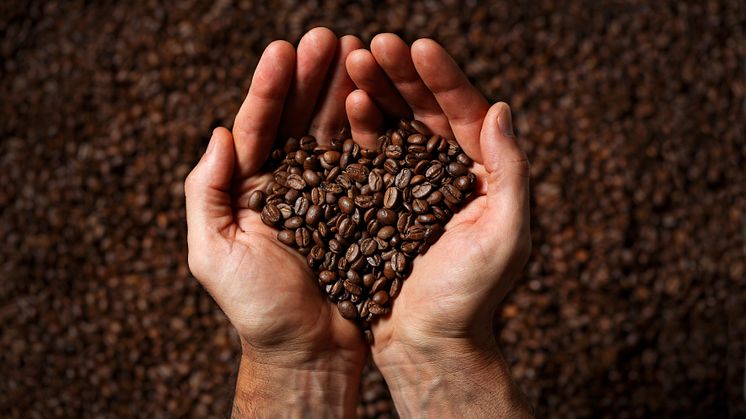 Circle K lanserar ny unik kaffesatsning tillsammans med Löfbergs