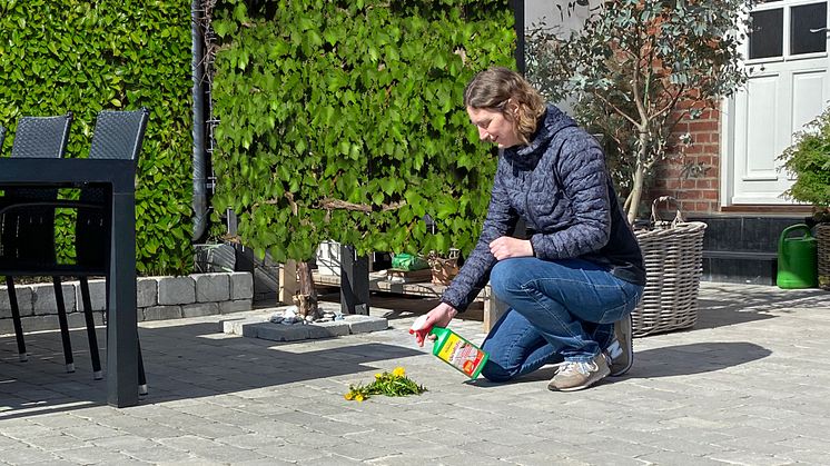 Lun vinter kickstarter ukrudt: Sådan kommer du de ubudne planter til livs
