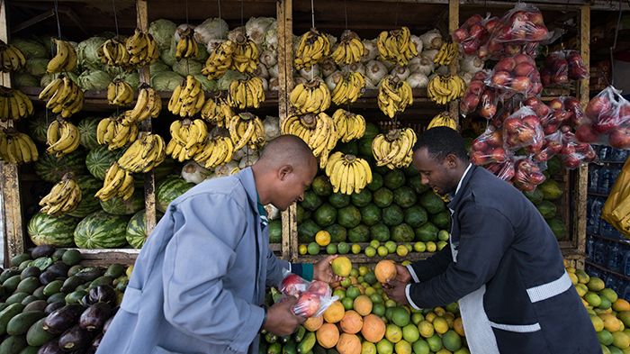  Swedfund supports SMEs in Kenya, Uganda and Tanzania