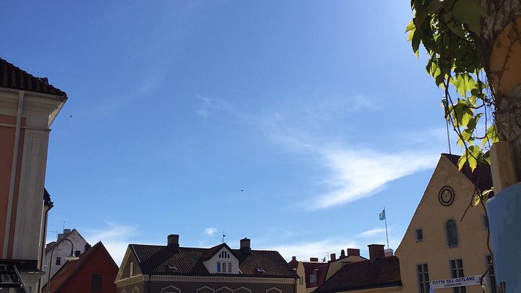 Lärarbrist, lokalbehov, digitalisering, hållbar utveckling och mottagande av nyanlända elever – Malmö stad i Almedalen 5 juli