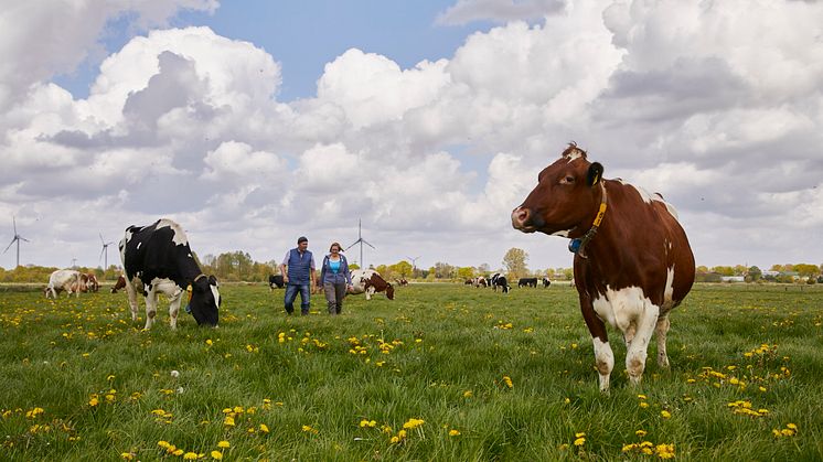 Arla Landwirte 