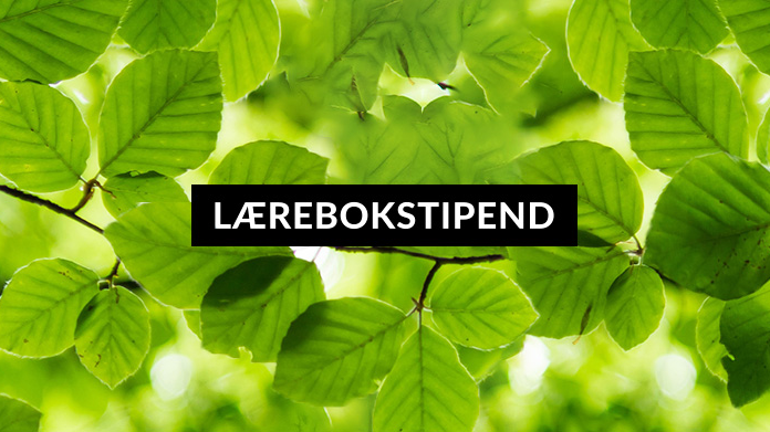Fagbokforlagets lærebokstipend tildeles seks nye lærebokprosjekter