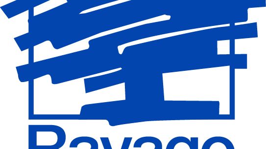 Ravago_logo_businessunits_Chemicals_rgb