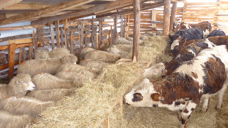 Zukunft der Biobauern: Neues Denken auf dem Feld