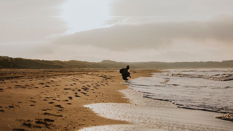 Kust_Halland_hostvinter_FotoAlexanderHall_81 2
