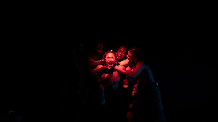 Company Nicolas Huchard - The barefoot diva