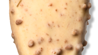 F.A.Kanelbulle_2.png