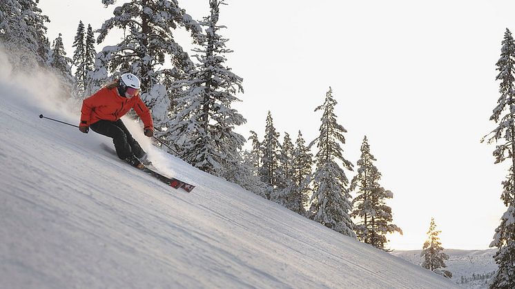 SkiStar Vemdalen