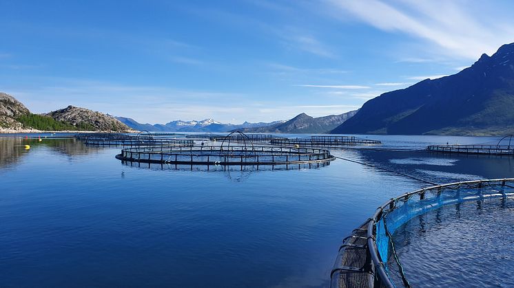 Cermaq kutter 35 prosent av klimautslippene  