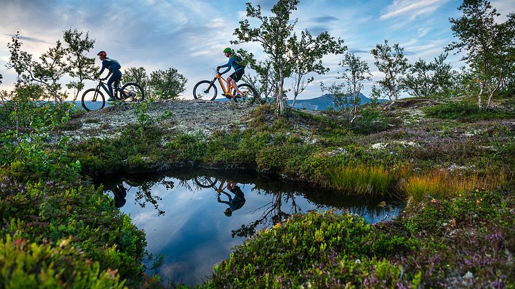 Foto: Anders G Warne