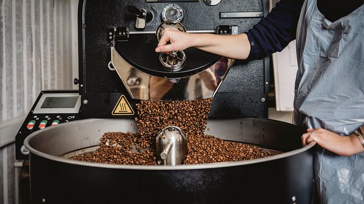 Ein Kaffee der Schule macht. Schülerin beim Röstvorgang in der Louisenlunder Rösterei