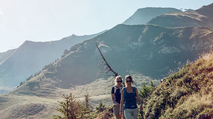 Wanderung im Val D'Illiez2 © Valais_Wallis Promotion - David Carlier