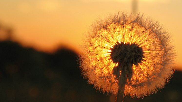 Solenergi