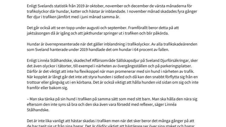 Trafikolyckor där sällskapsdjur och hästar är inblandade ökar kraftigt på hösten