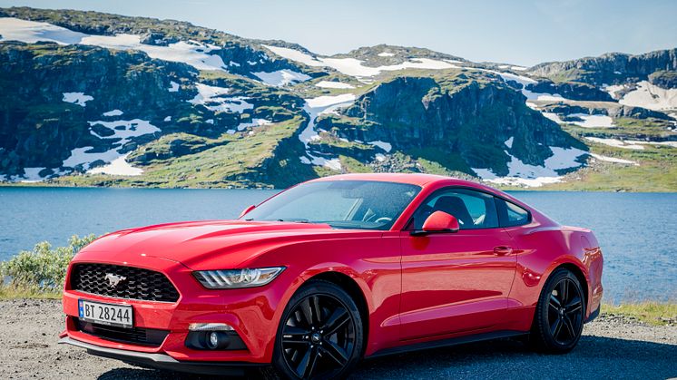 Mustang Norway