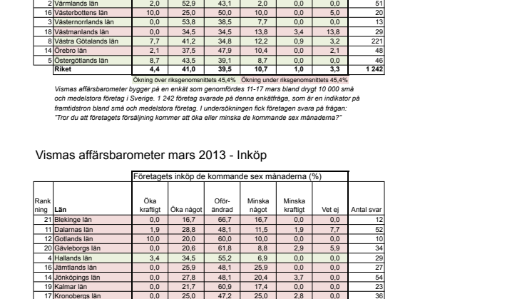 Vismas affärsbarometer våren 2013