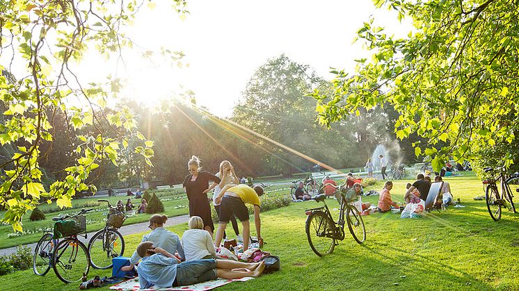 Stadsparken kan bli Sveriges mest inspirerande park!