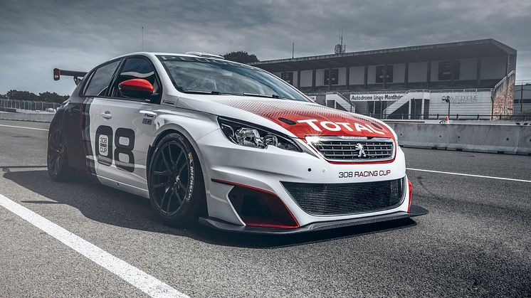 PEUGEOT 308 Racing Cup: Skabt til race!