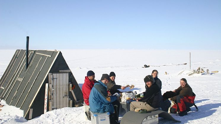 CLEOPATRA prosjektet, Bjørnehiet, Rijpfjorden, Svalbard