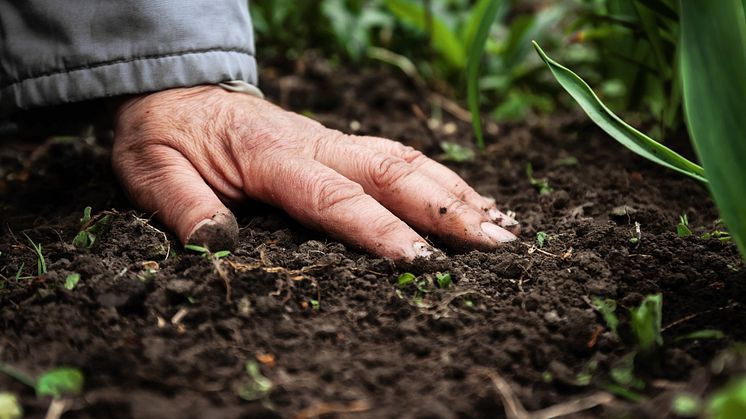 Bodengesundheit in der Landwirtschaft