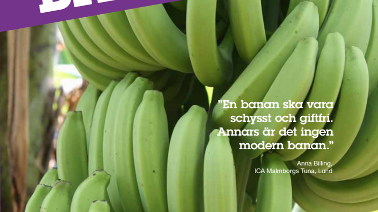 ”Schyssta bananer Del 1: Utmaningar och möjligheter i framtidens bananindustri”