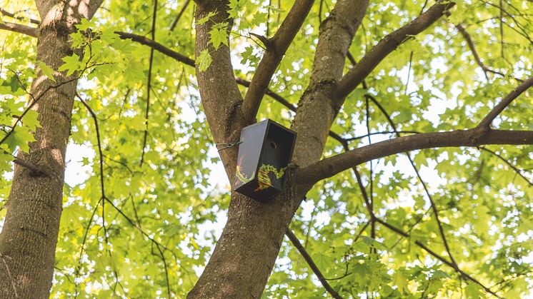 Denne fuglekassa finner du ved Grünerhagen Park
